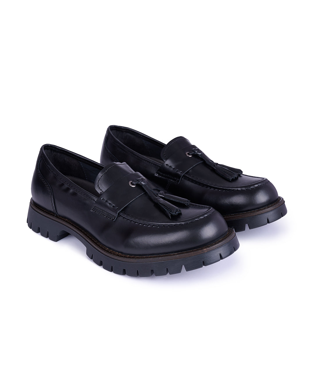 6915 CAMALEÓN NEGRO